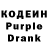 Кодеиновый сироп Lean Purple Drank Alisher Nurlen
