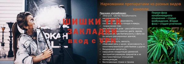 трава Абаза